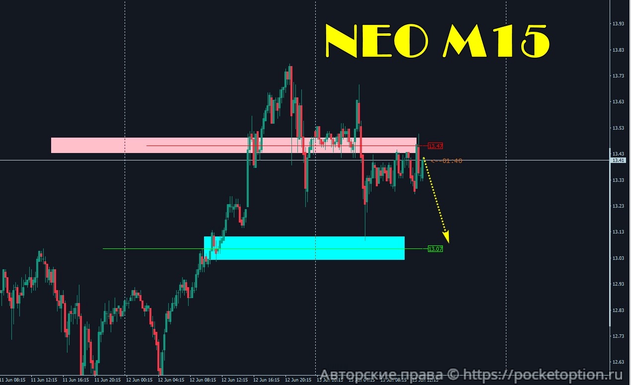 neo_13.06