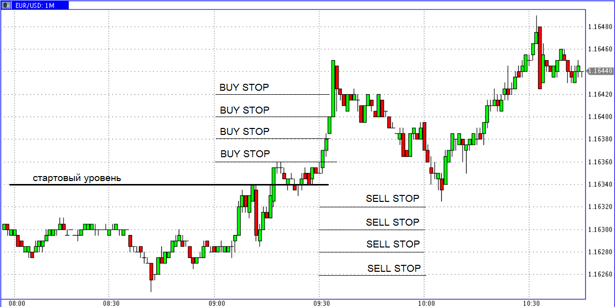 setka-orderov-trend